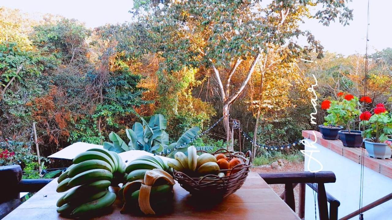 Casona Chara Hotel Barichara Bagian luar foto